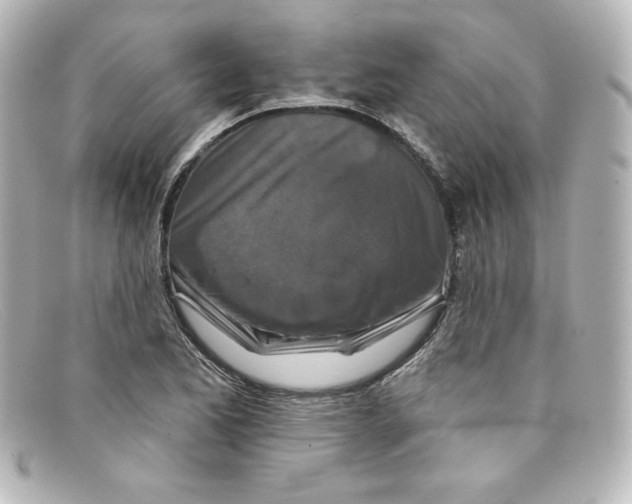 X0000098151173200805081035