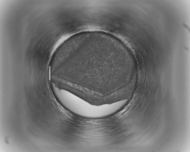 X0000098151175200805081035