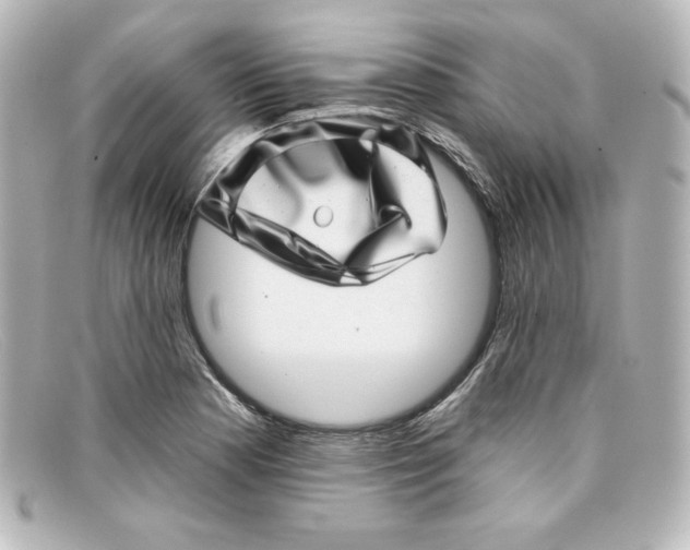 X0000098151177200805081035