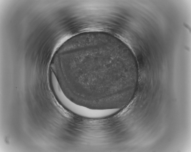 X0000098151179200805081035