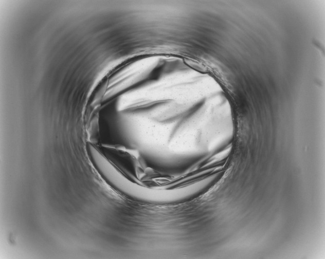 X0000098151184200805081035