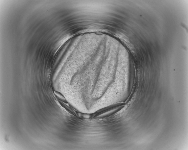 X0000098151185200805081035
