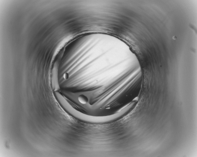 X0000098151188200805081035