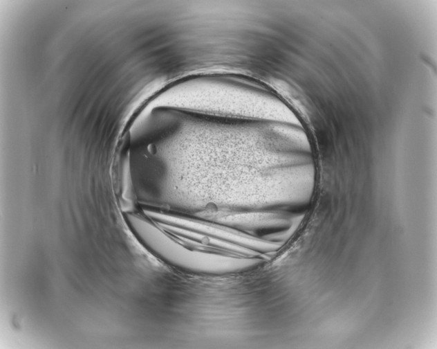 X0000098151189200805081035