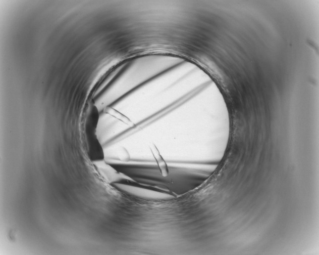 X0000098151190200805081035