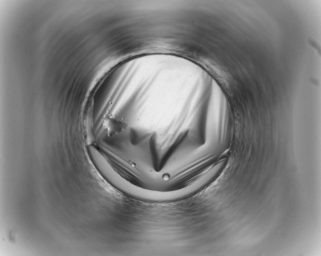X0000098151192200805081035