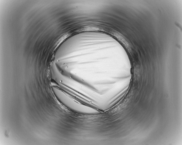 X0000098151193200805081035