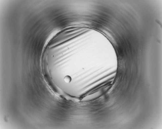 X0000098151196200805081035