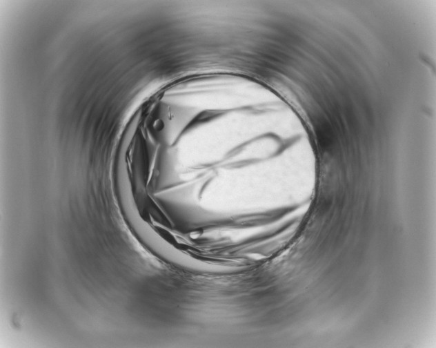 X0000098151197200805081035