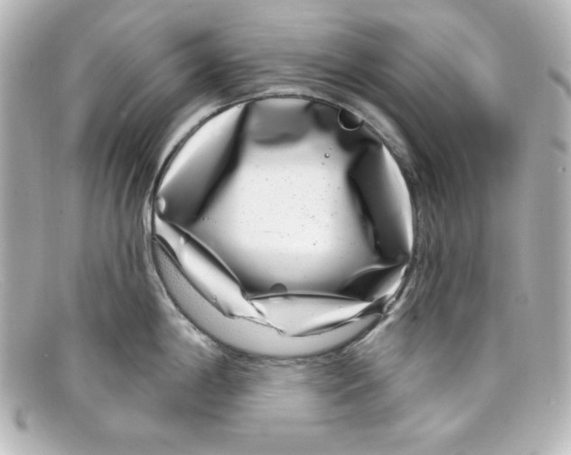 X0000098151198200805081035