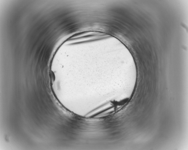 X0000098151200200805081035