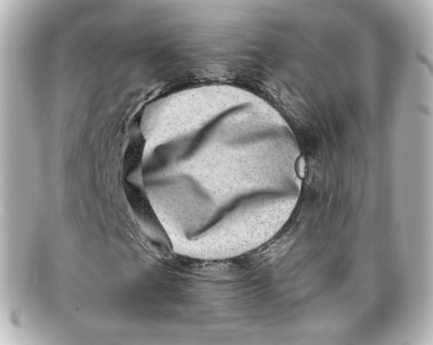X0000098151201200805081034