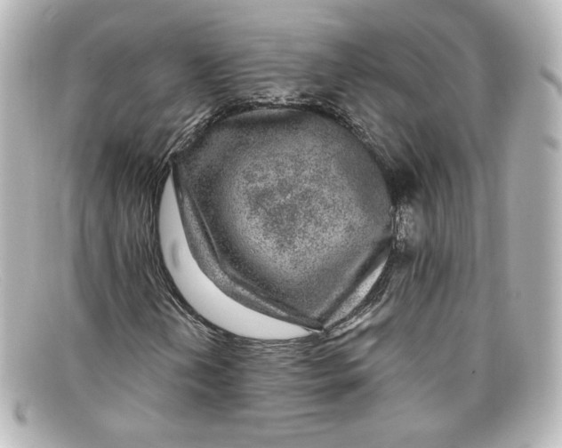 X0000098151202200805081034