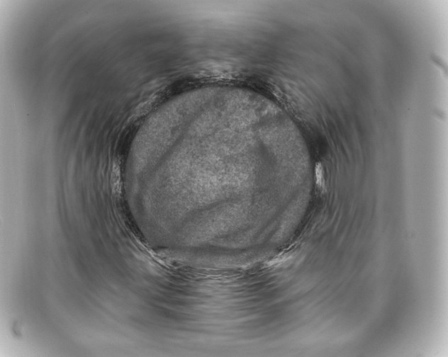 X0000098151203200805081034