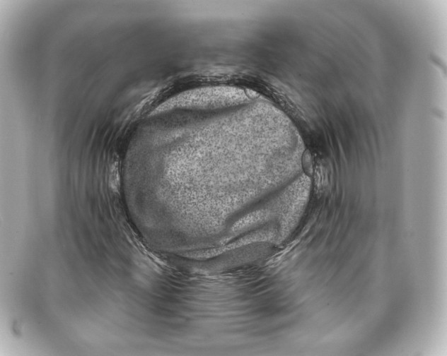 X0000098151204200805081034