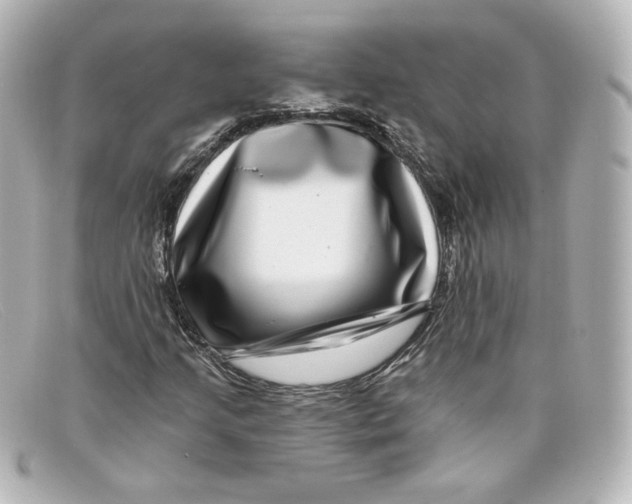 X0000098151205200805081034