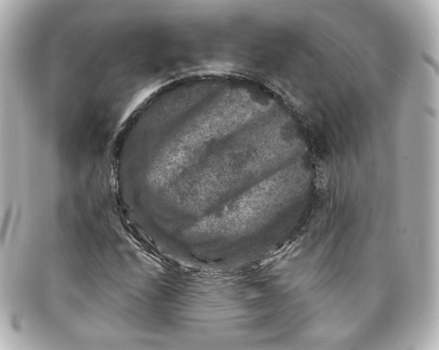 X0000098151208200805081034