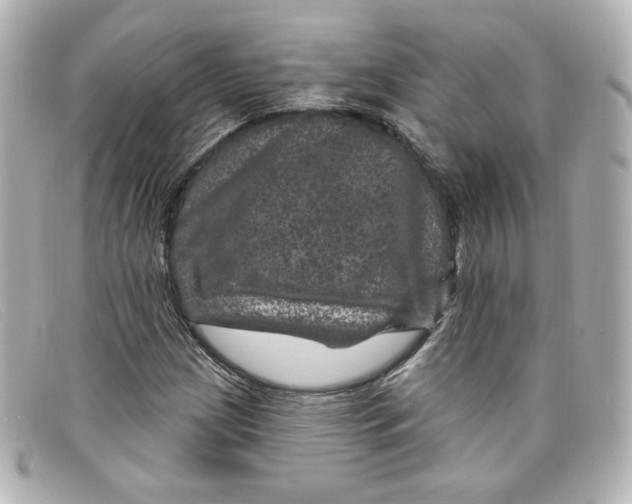 X0000098151209200805081034