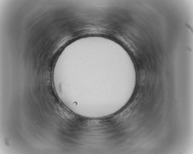 X0000098151211200805081034