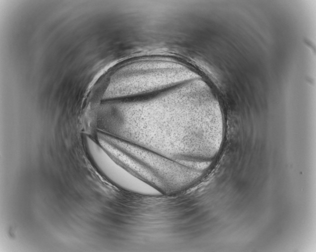 X0000098151212200805081034