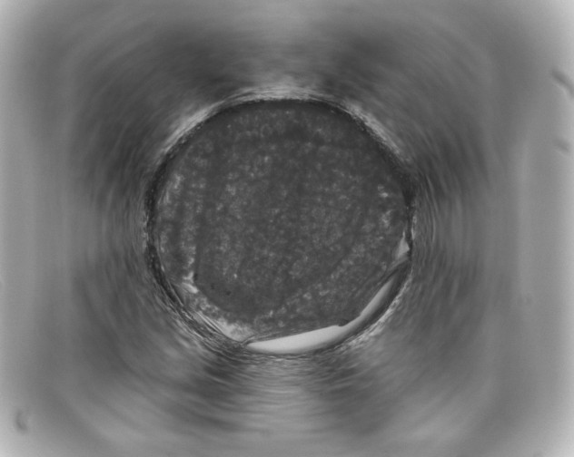 X0000098151213200805081034