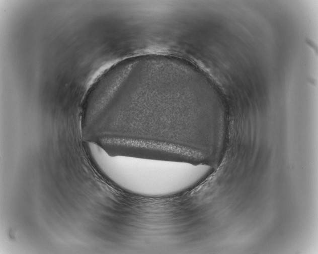 X0000098151214200805081034