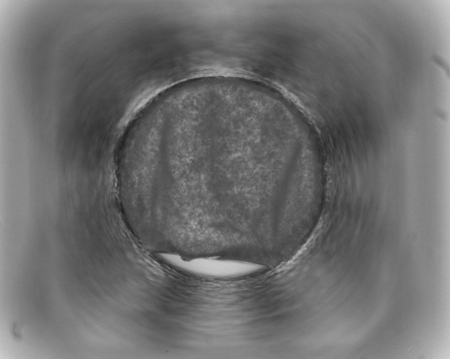 X0000098151215200805081034