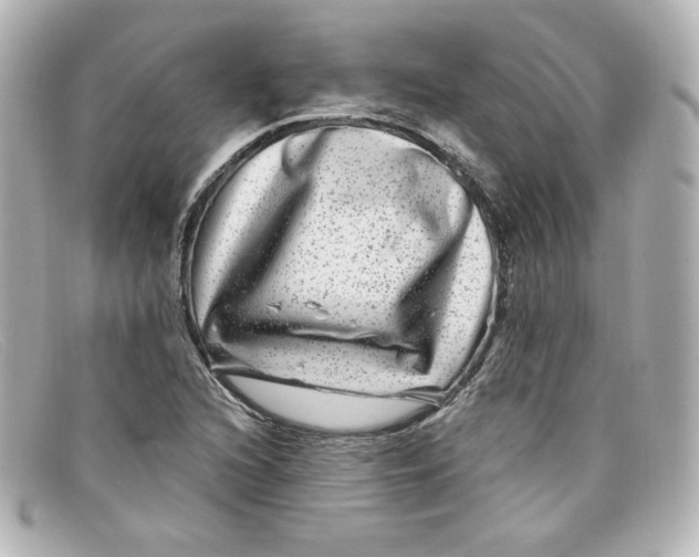 X0000098151216200805081034