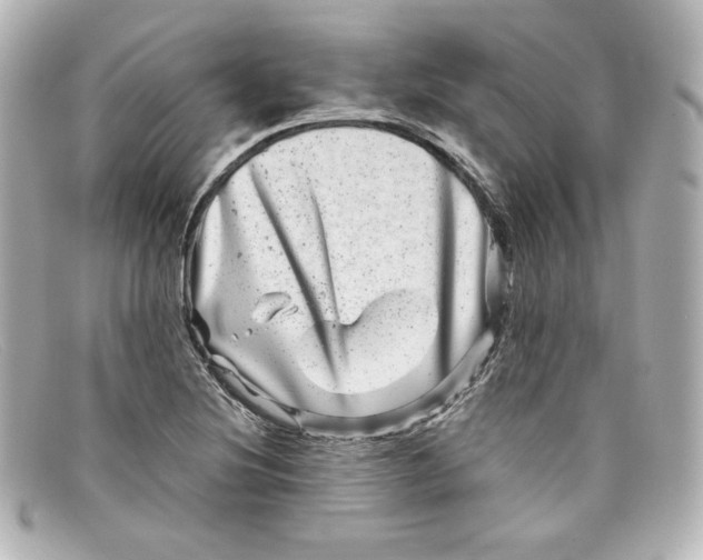 X0000098151220200805081034