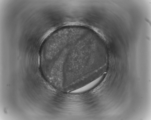X0000098151221200805081035