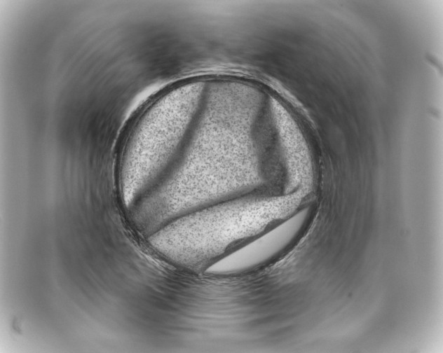 X0000098151222200805081035