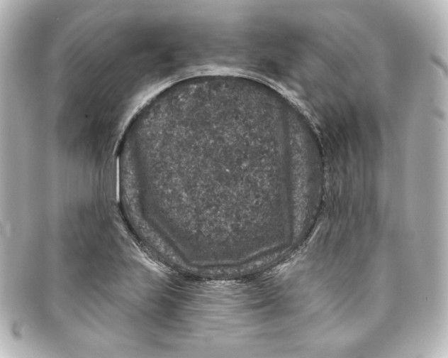 X0000098151223200805081035