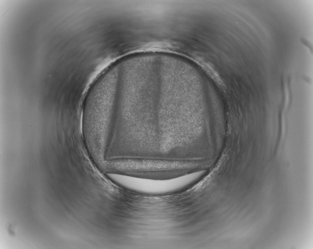 X0000098151224200805081035