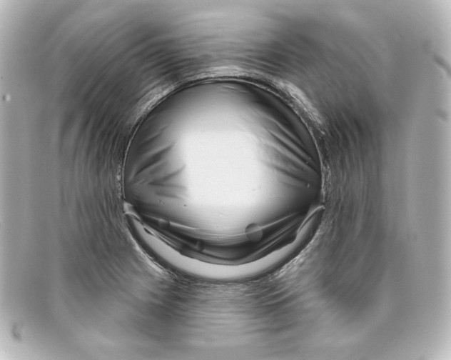 X0000098151225200805081035