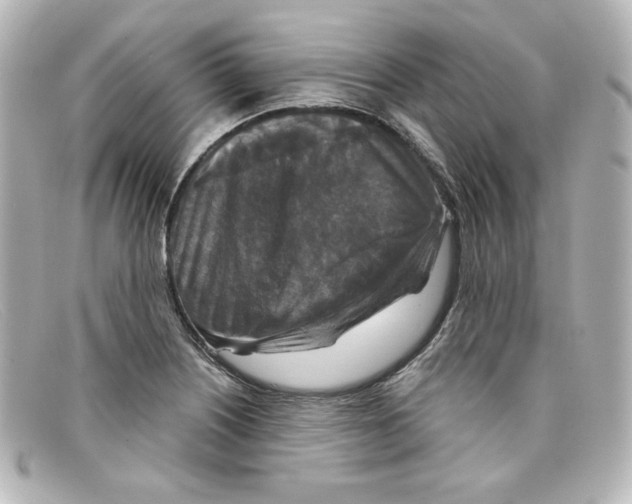 X0000098151226200805081035