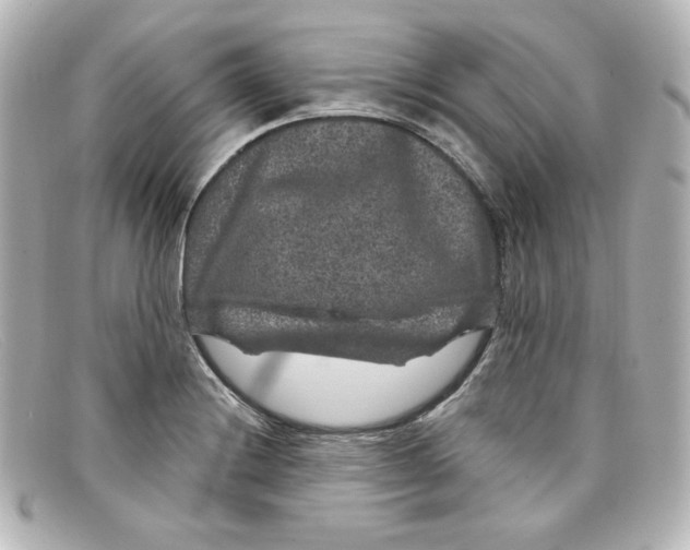 X0000098151228200805081035