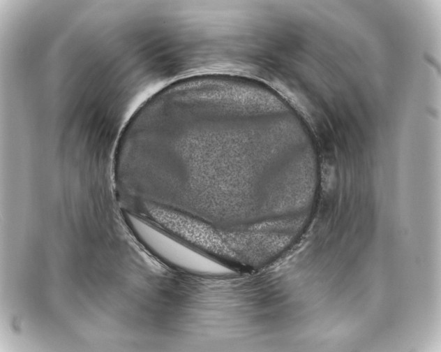 X0000098151230200805081035