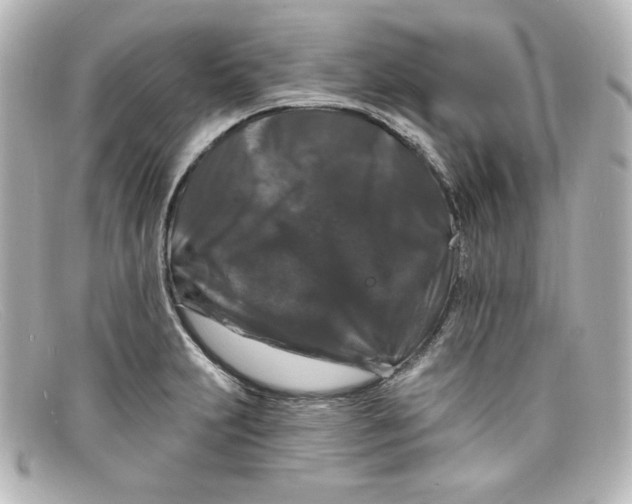 X0000098151231200805081035