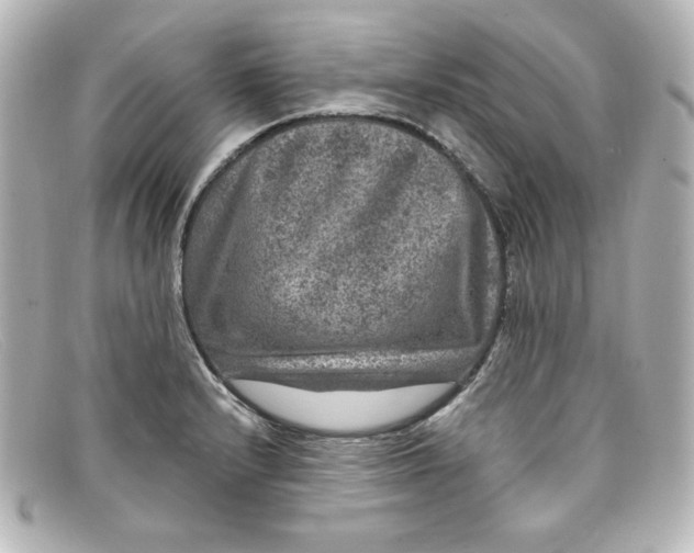X0000098151232200805081035