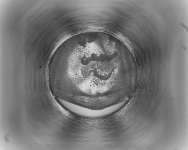 X0000098151235200805081035