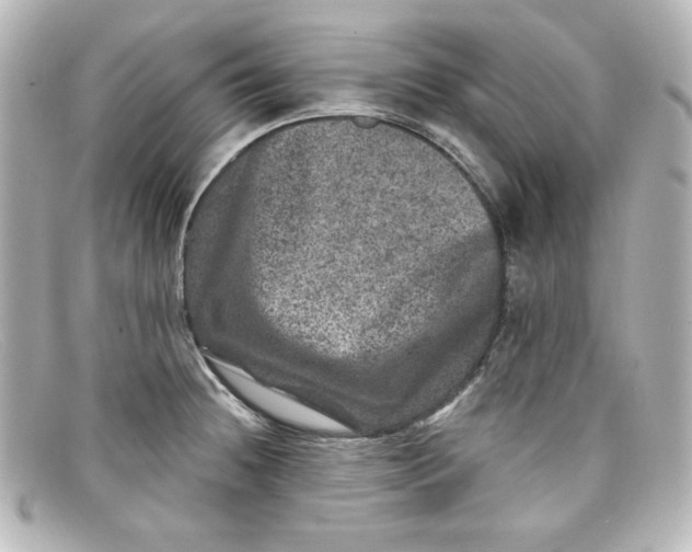 X0000098151236200805081035