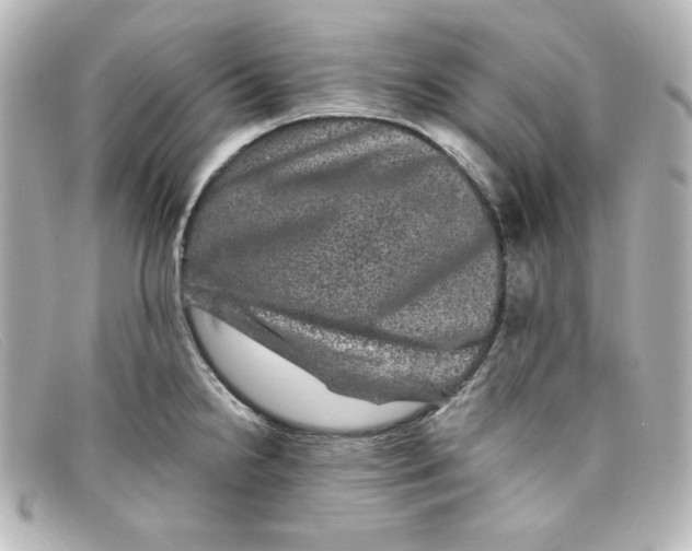 X0000098151238200805081035