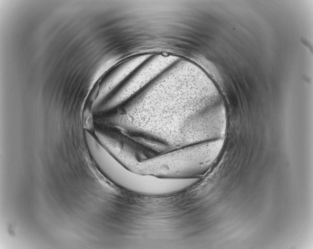 X0000098151242200805081035