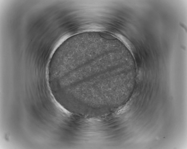 X0000098151243200805081035