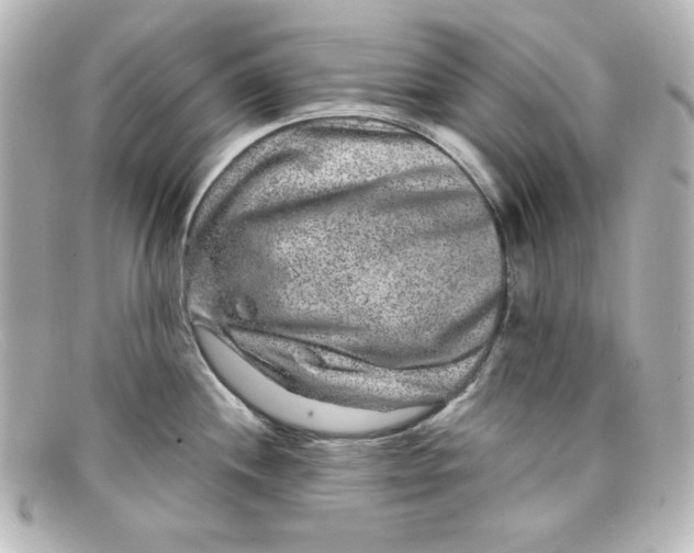 X0000098151244200805081035