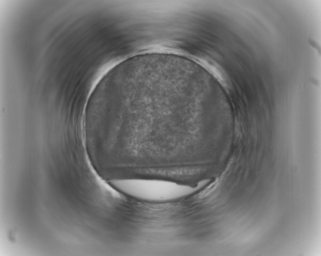 X0000098151247200805081035
