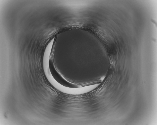 X0000098151252200805081034