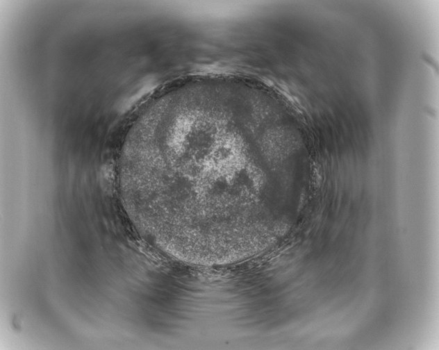 X0000098151254200805081034