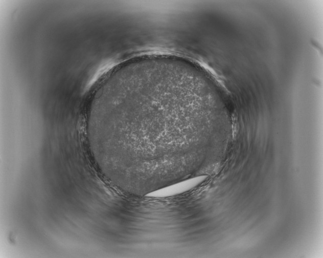 X0000098151255200805081034