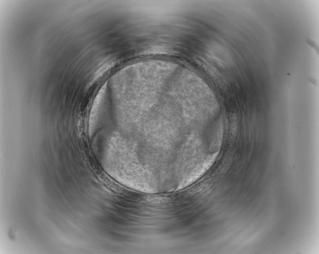 X0000098151258200805081034